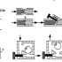Clutch Hydraulic Diagram